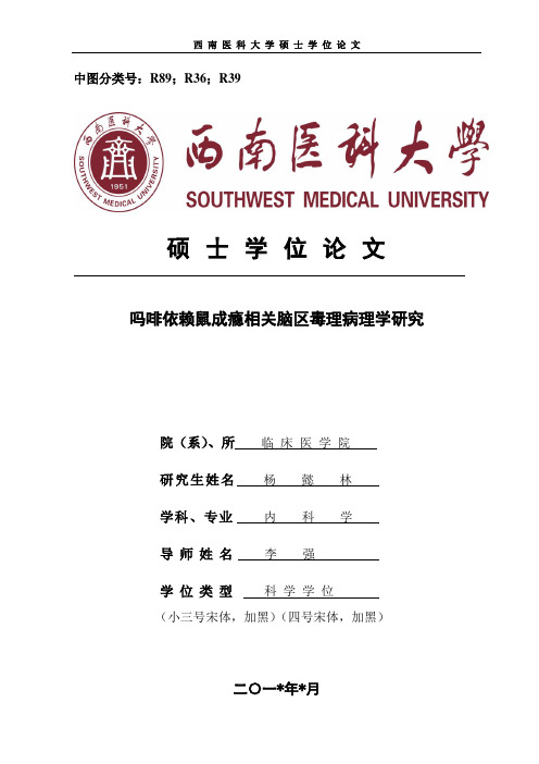 西南医大硕士学位论文格式版本