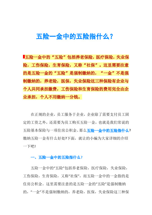 五险一金中的五险指什么？