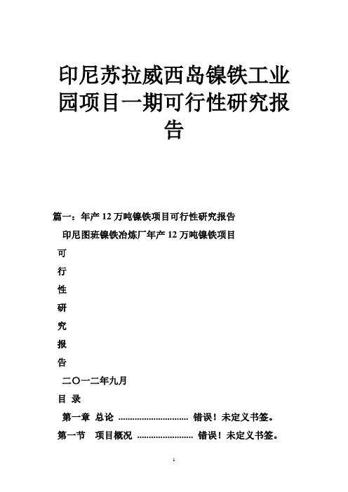 印尼苏拉威西岛镍铁工业园项目一期可行性研究报告