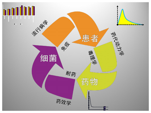 抗生素的临床合理应用