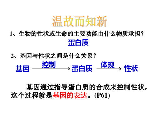 4.1基因的表达(转录和翻译)