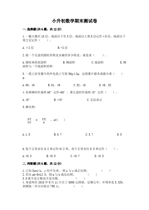 小升初数学期末测试卷含完整答案(名校卷)