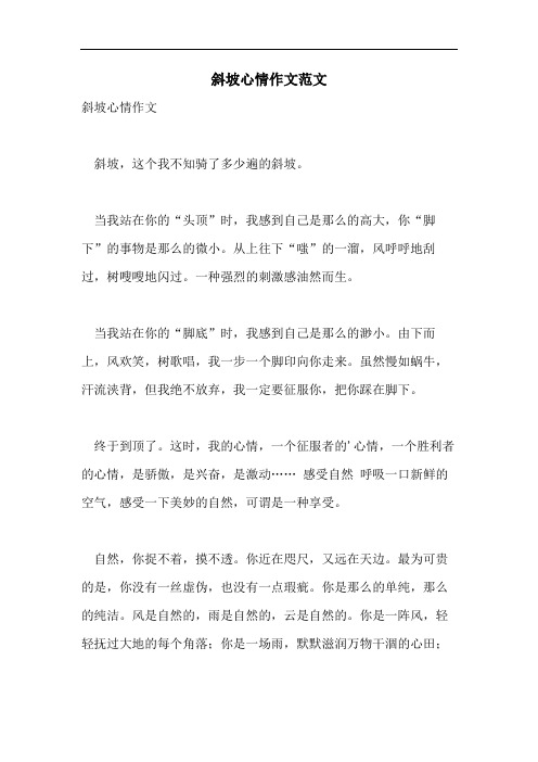 斜坡心情作文范文