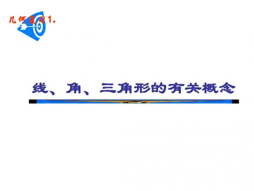 中考数学专题复习线、角、三角形的有关概念