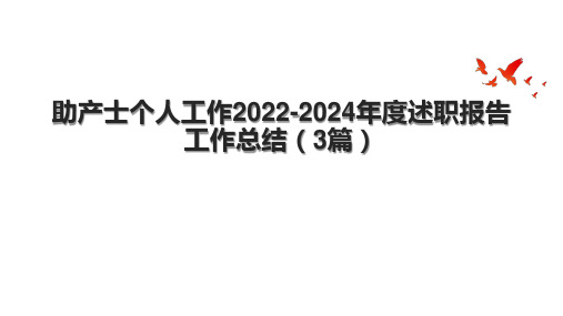 助产士个人工作2022-2024年度述职报告工作总结(3篇).pptx