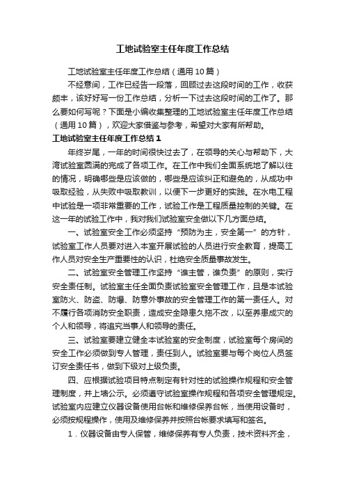 工地试验室主任年度工作总结(通用10篇)