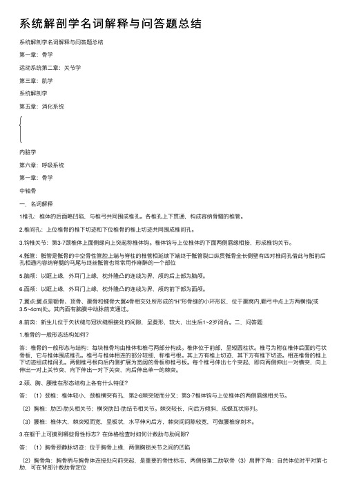 系统解剖学名词解释与问答题总结