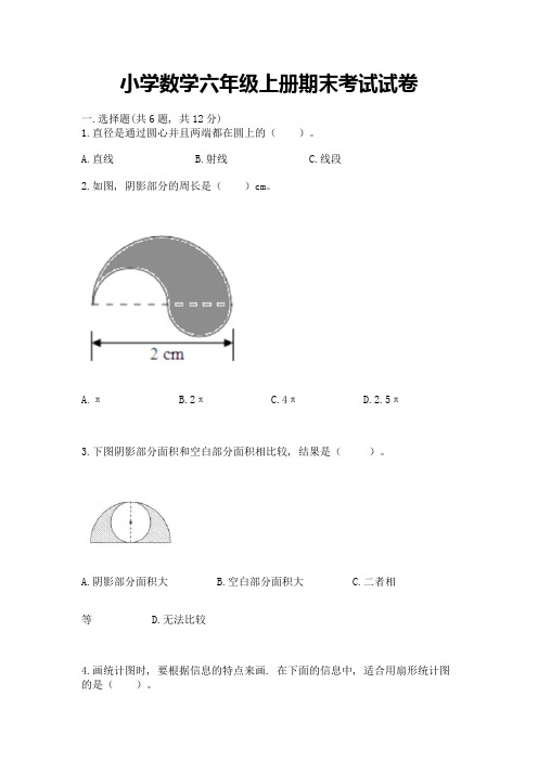 小学数学六年级上册期末考试试卷(必刷)word版