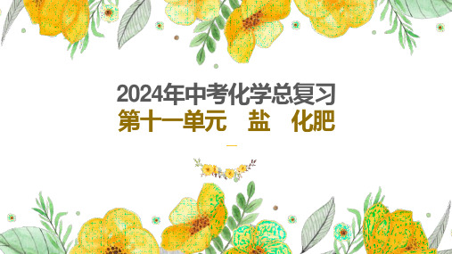 2024年中考化学总复习第十一单元盐化肥 课件