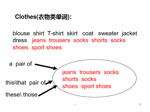 Clothes(衣物类单词)PPT课件