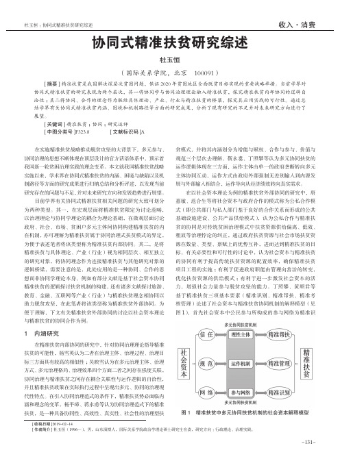 协同式精准扶贫研究综述