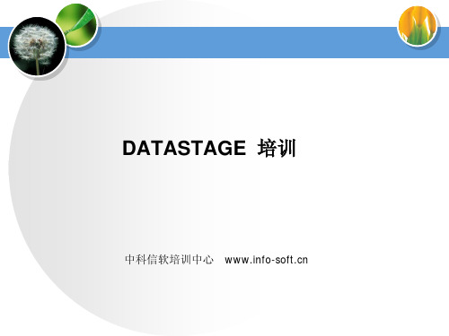 DataStage培训资料