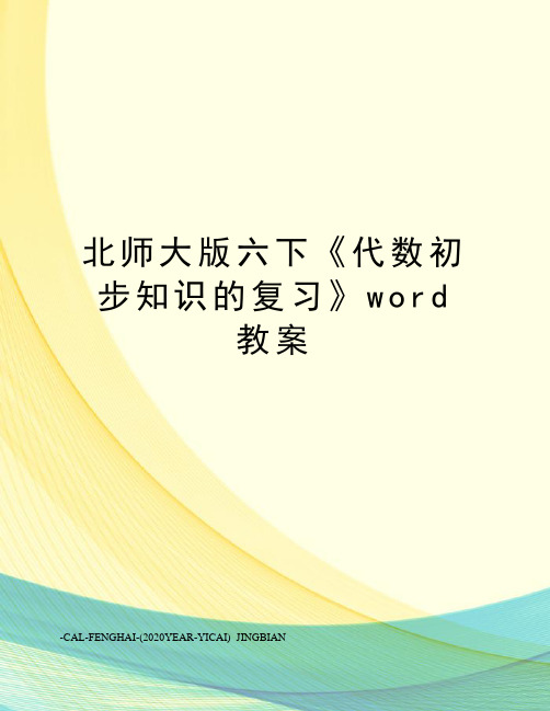 北师大版六下《代数初步知识的复习》word教案