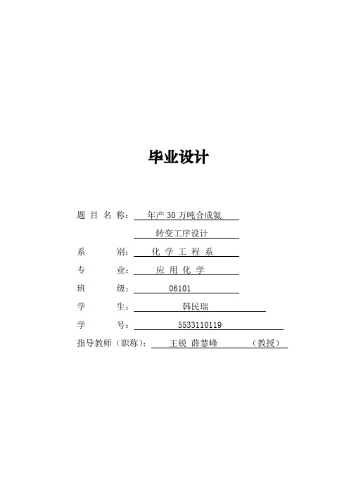 年产30万吨合成氨工艺设计