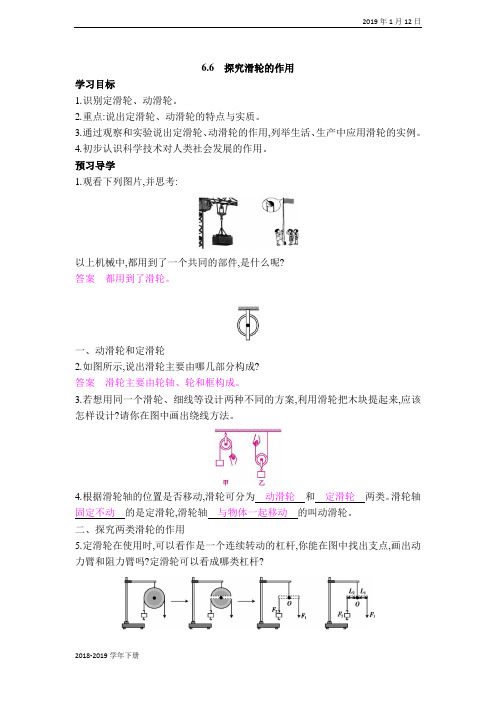 八年级物理下册-沪粤版-【学案】6.6探究滑轮的作用