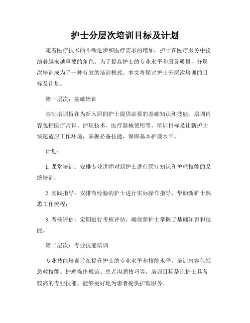 护士分层次培训目标及计划