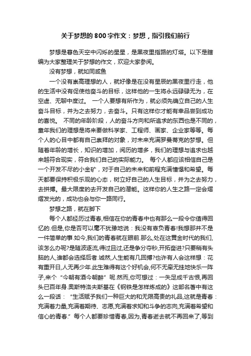 关于梦想的800字作文：梦想，指引我们前行