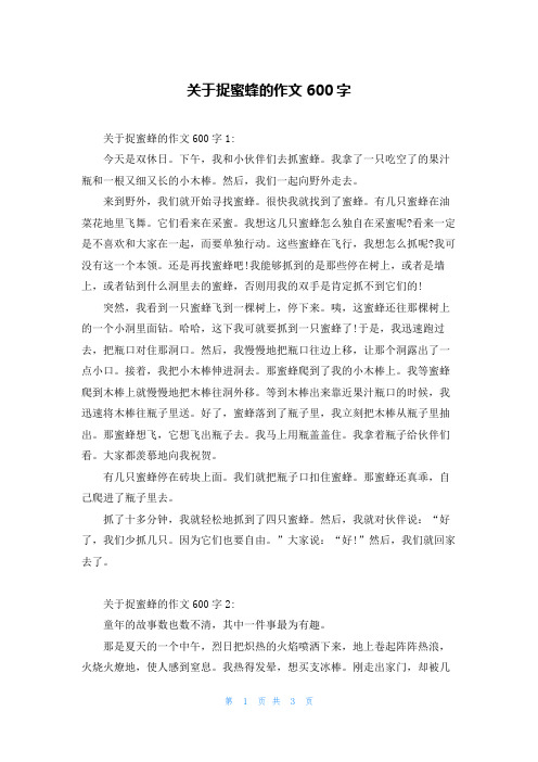 关于捉蜜蜂的作文600字