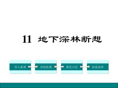 人教版九年级语文下册第11课《地下森林断想》课件