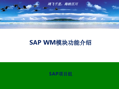 SAP WM模块功能介绍