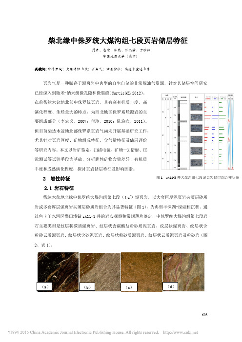 柴北缘中侏罗统大煤沟组七段页岩储层特征_周磊