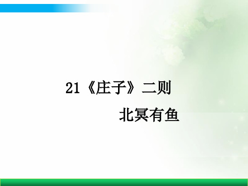 《庄子》二则北冥有鱼优秀公开课课件PPT