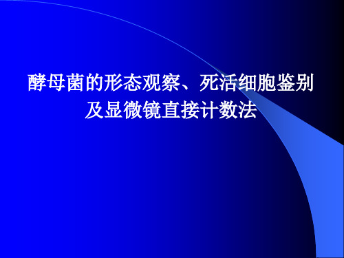 实验五 酵母菌的形态观察、死活细胞的鉴别及显微镜直接计数法