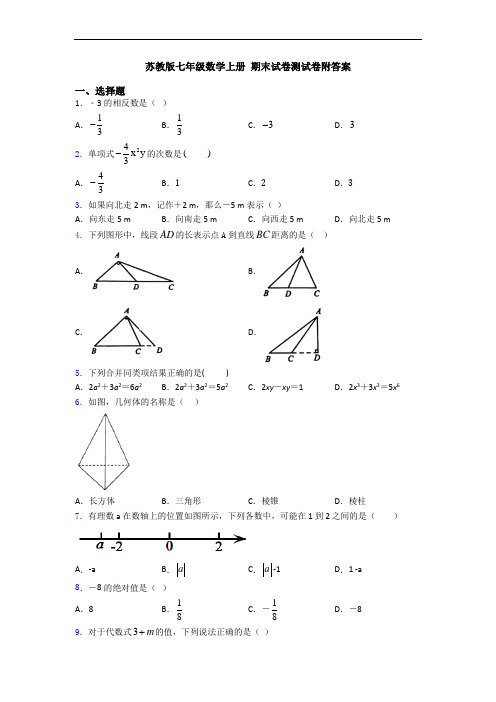 苏教版七年级数学上册 期末试卷测试卷附答案