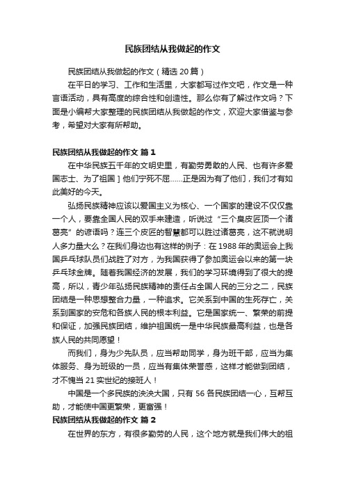 民族团结从我做起的作文