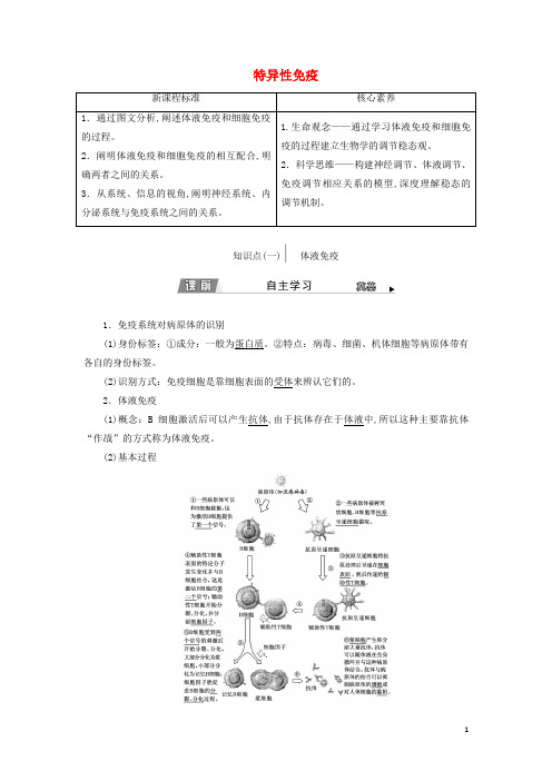 新教材高中生物第4章免疫调节第2节特异性免疫学案新人教版选择性必修1