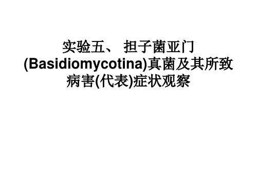 实验五、 担子菌亚门(Basidiomycotina)真菌及其所致病害(代表)症状观察