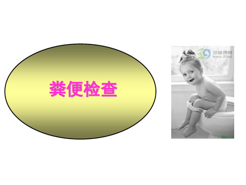 诊断学粪便检测PPT课件