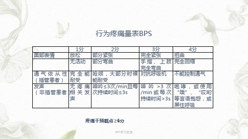 BPS疼痛评分ppt课件