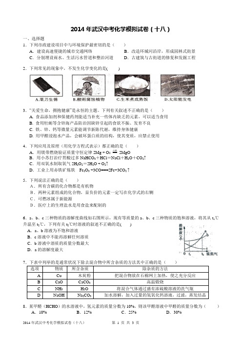 2014年武汉中考化学模拟试卷(十八)