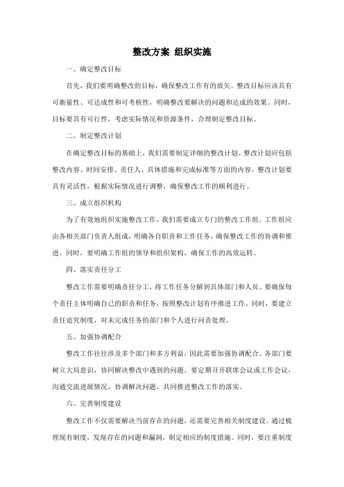 整改方案 组织实施