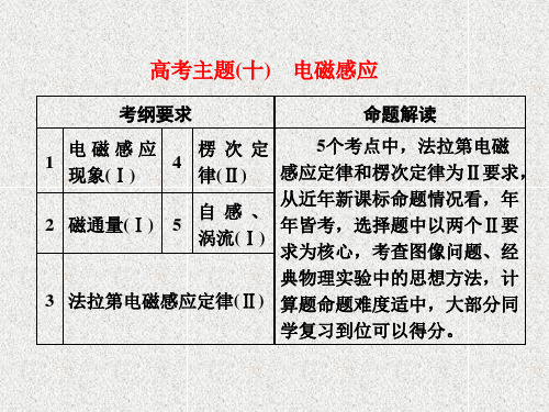 高考物理课件(十)电磁感应课件