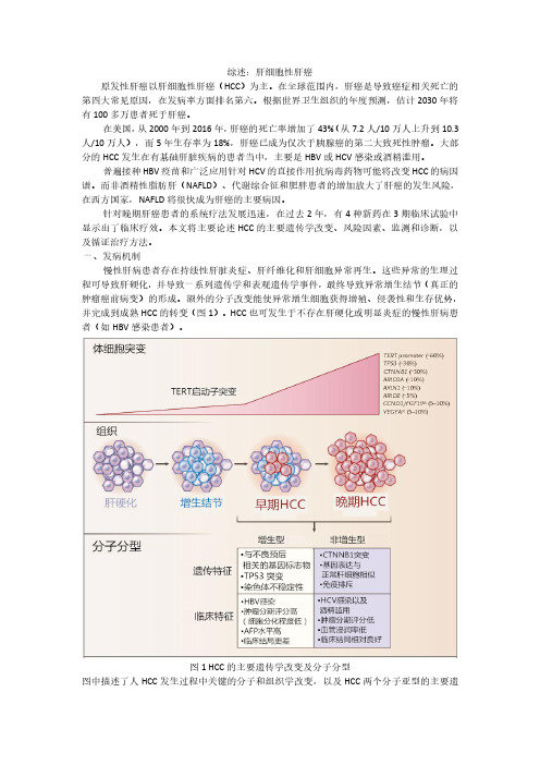 综述：肝细胞性肝癌