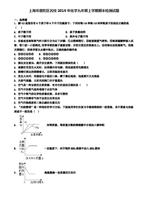 上海市普陀区名校2019年化学九年级上学期期末检测试题