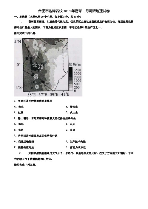 合肥市达标名校2019年高考一月调研地理试卷含解析