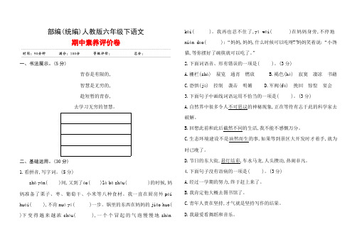 2 部编(统编)人教版六年级下语文 期中素养评价卷