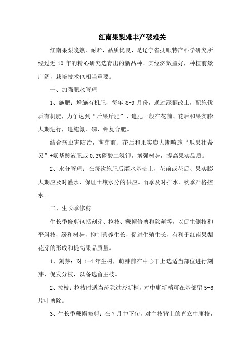 红南果梨难丰产破难关