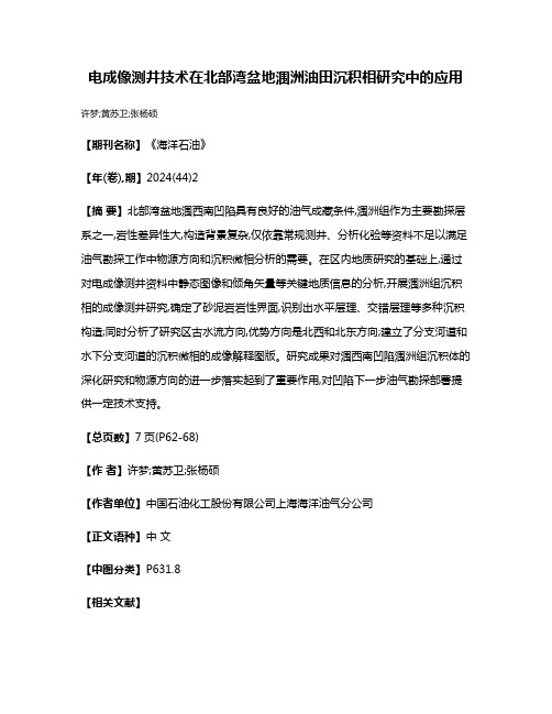 电成像测井技术在北部湾盆地涠洲油田沉积相研究中的应用