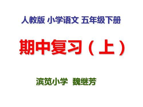 人教版 小学语文 五年级下册 期中 复习要点