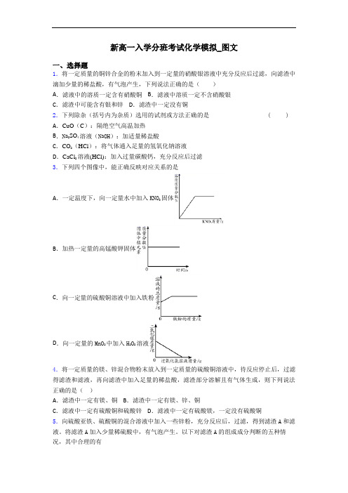 新高一入学分班考试化学模拟_图文