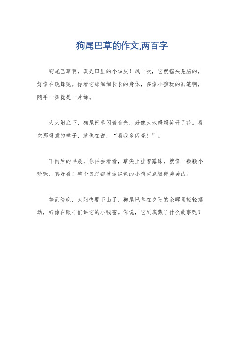 狗尾巴草的作文,两百字