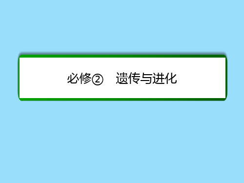 2017届高考生物一轮复习 第23讲 从杂交育种到基因工程