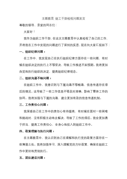 主题教育 组工干部检视问题发言