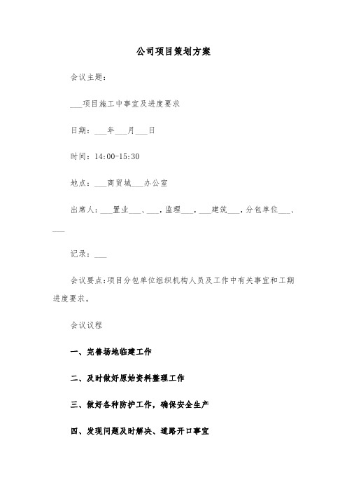 公司项目策划方案（二篇）