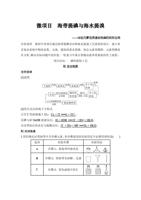 微项目 海带提碘与海水提溴-2024-2025学年高考化学总复习(配鲁科版)