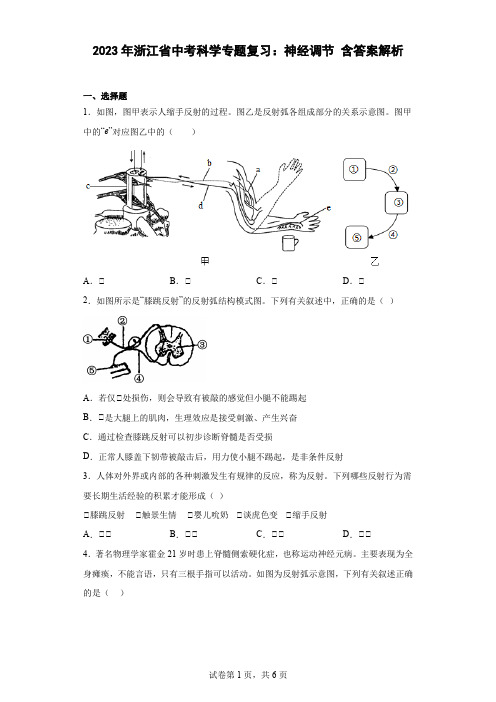 2023年浙江省中考科学专题复习：神经调节(含答案解析)